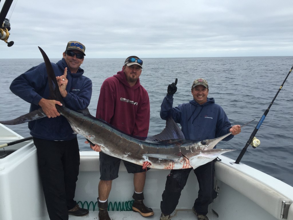 Encounter Captures First Marlin Of Mission Bay Marlin Club