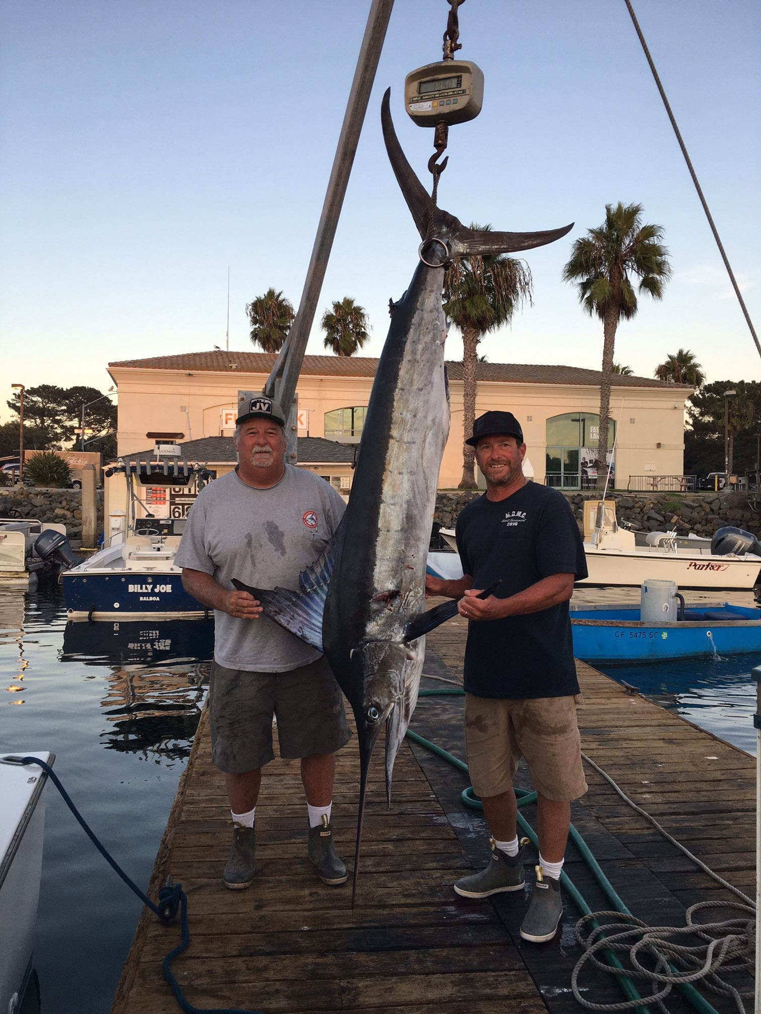 2022 MBMC Marlin Tournament Recap Mission Bay Marlin Club