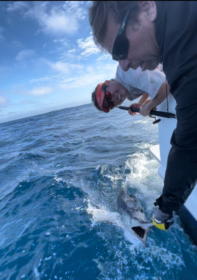 2022 marlin2.1.jpg 2022 marlin2.1.jpg